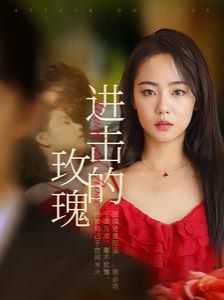 进击的玫瑰 第1-20集