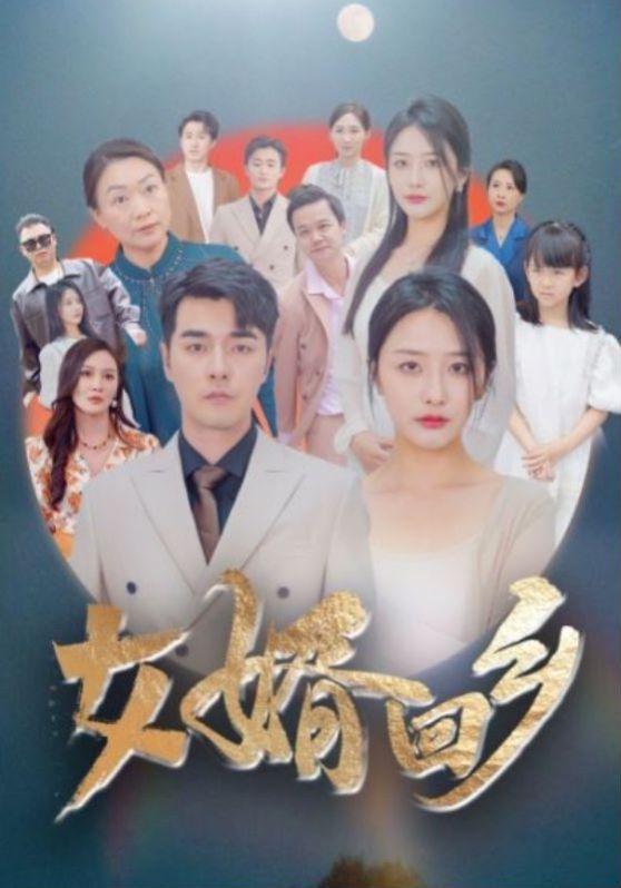 女婿回乡 第21-40集