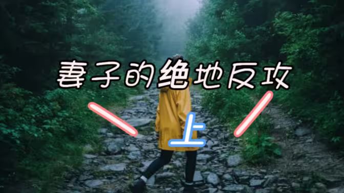 妻子的绝地反攻 全集完结(大结局)