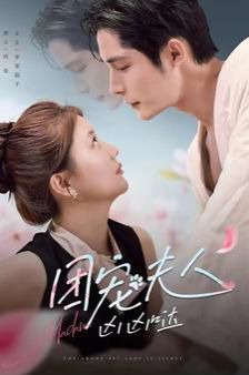 团宠夫人凶凶哒 第81-100集