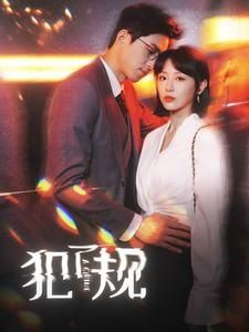 犯了规 第81-96集完结(大结局)