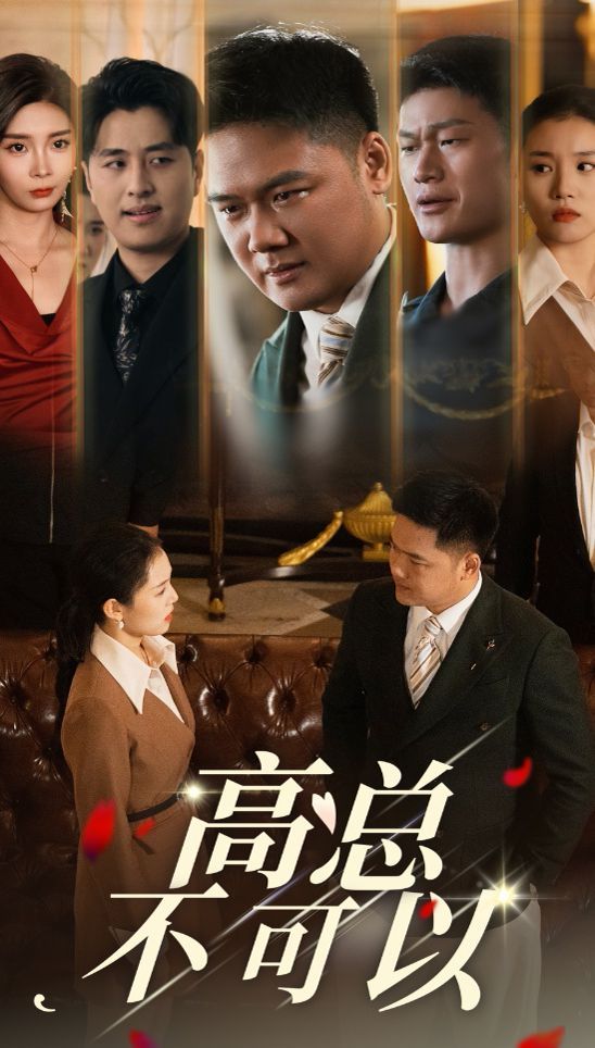 高总不可以 第1-20集
