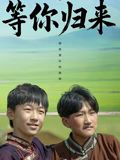 等你归来(全集)