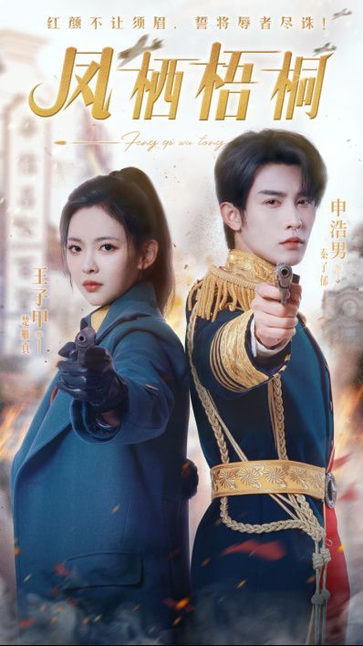 凤栖梧桐 第1-20集