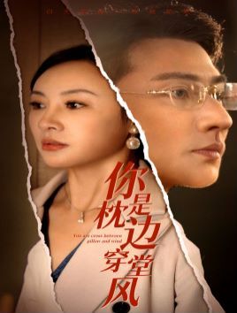 你是枕边穿堂风 第41-60集
