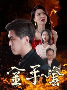 金手套 第41-69集完结(大结局)