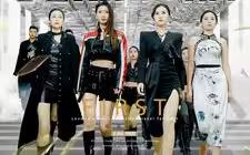 无双傻婿 第41-60集