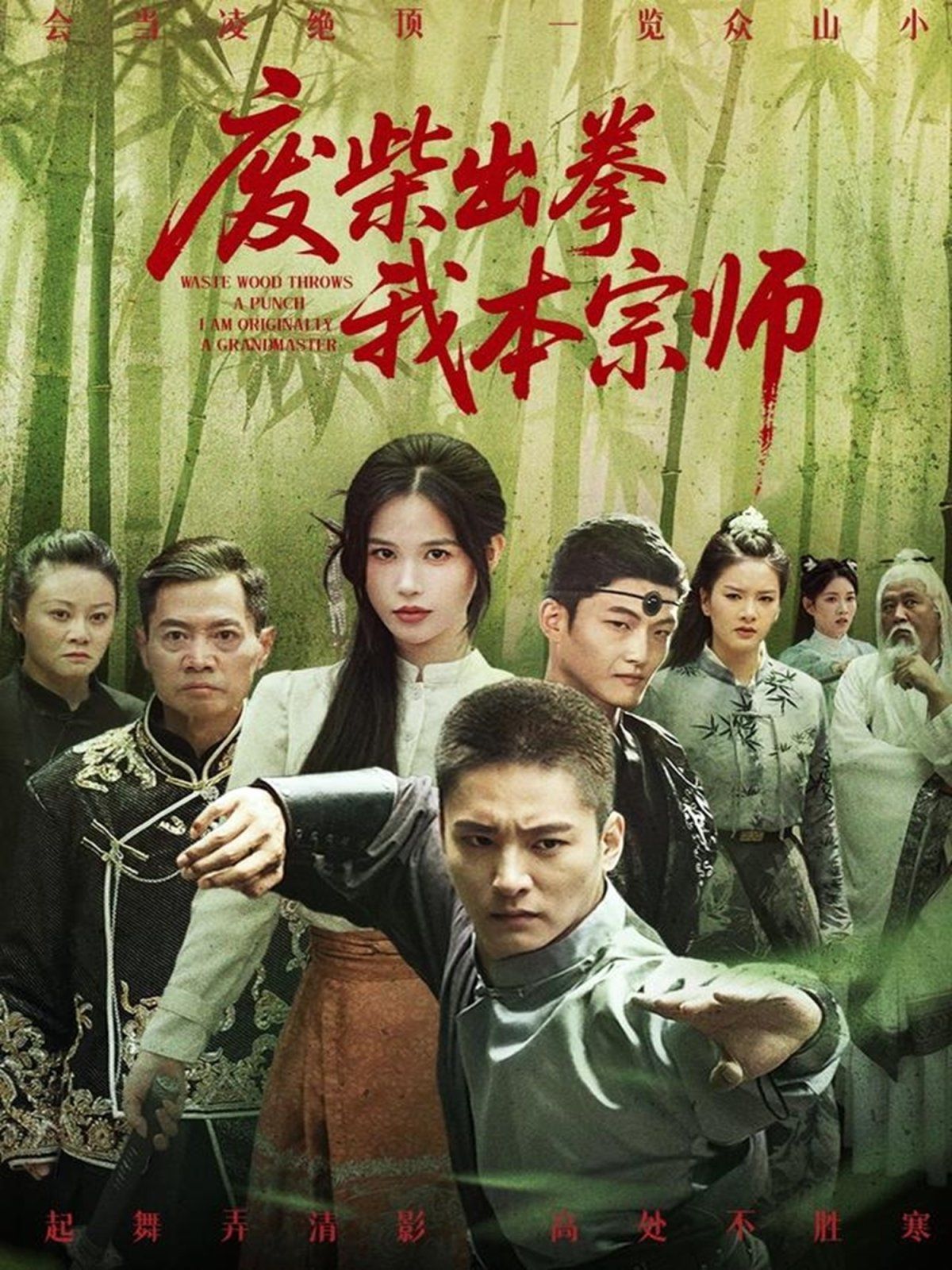 废柴出拳我本宗师 全集完结(大结局)