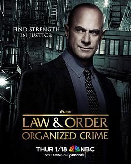 法律与秩序：组织犯罪 第四季 第5集