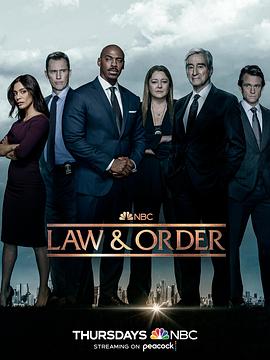 法律与秩序 第二十二季 第4集