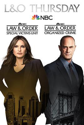 法律与秩序：组织犯罪第二季 第13集