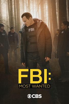 联邦调查局通缉要犯第二季 第3集